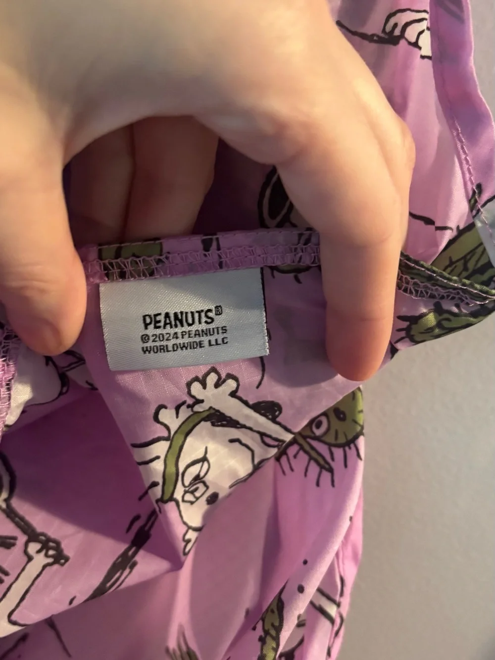 Baggu Peanuts Spike standard size bag